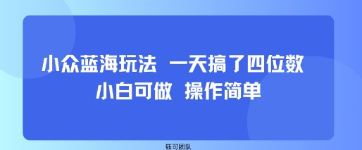 小众蓝海玩法 一天搞了四位数 小白可做 操作简单-凌云网创