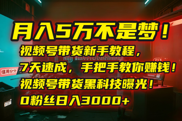 月入5万不是梦！视频号带货新手教程，7天速成，手把手教你赚钱！视频号…-凌云网创
