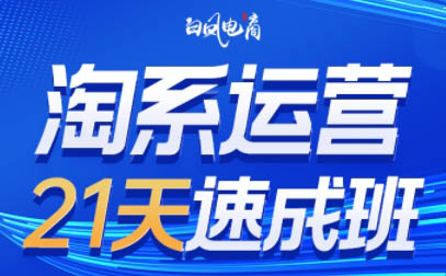 白凤电商·淘系运营21天速成班(更新8月)-凌云网创