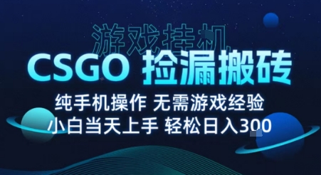 8月最新游戏搬砖，CSGO纯挂G，不需要玩游戏，实现真挂G，月入1W+【揭秘】-凌云网创