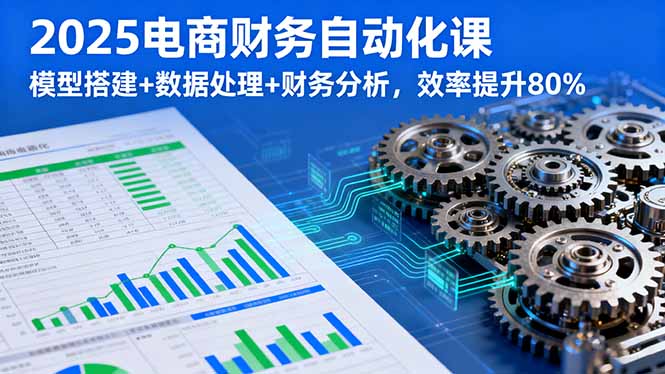 2025电商财务自动化课，模型搭建+数据处理+财务分析，效率提升80%-凌云网创