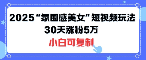 不露脸也能火！2025“氛围感美女”短视频玩法，30天涨粉5W小白可复制-凌云网创