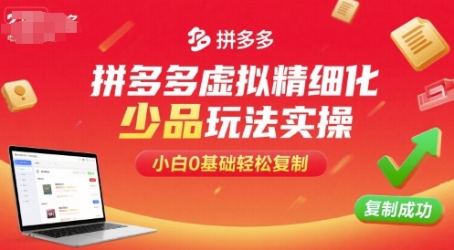 拼多多虚拟精细化少品玩法实操，小白0基础轻松复制-凌云网创