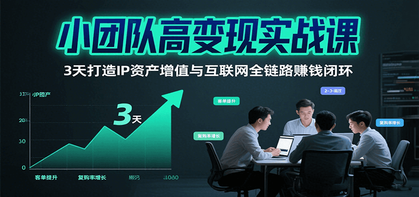 小团队高变现实战课，3天打造IP资产增值与互联网全链路赚钱闭环(第二期)-凌云网创