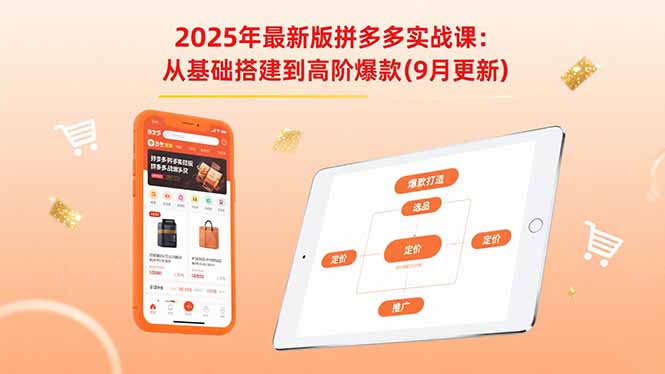 2025年最新版拼多多实战课：从基础搭建到高阶爆款(9月更新-凌云网创