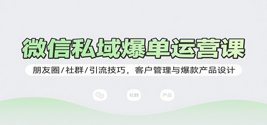 微信私域爆单运营课：朋友圈/社群/引流技巧，客户管理与爆款产品设计-凌云网创