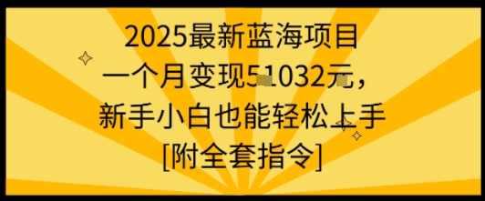 2025最新蓝海项目一个月变现1w+新手小白也能轻松上手【附全套指令】-凌云网创