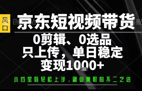 你出账号，我来运营，保底日入1k+，开启躺賺模式【揭秘】-凌云网创