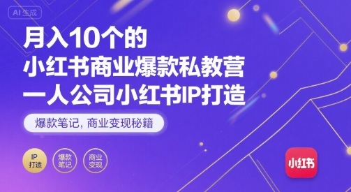 月入10个的小红书商业爆款私教营，一人公司小红书IP打造，爆款笔记，商业变现秘籍-凌云网创