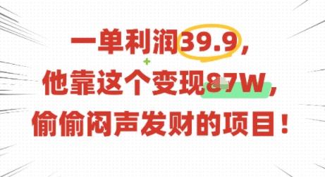 一单利润39.9，有人靠这个变现几十个，偷偷闷声发财的项目-凌云网创
