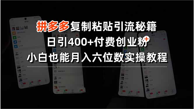 拼多多复制粘贴引流秘籍，日引400+付费创业粉，小白也能月入六位数实操…-凌云网创
