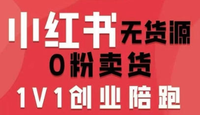 小红书无货源0粉电商课，开店准备、选品策略、笔记撰写、视频剪辑、数据分析、账号打造、资料文档-凌云网创