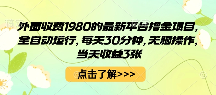 外面收费1980的最新平台撸金项目，全自动运行，每天30分钟，无脑操作，当天收益3张【揭秘】-凌云网创