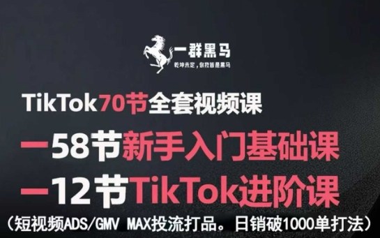 TikTok全套视频课，新手入门+进阶课，短视频ADS-GMV MAX投流打品，日销破1000单打法-凌云网创