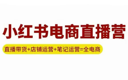 申铭老师·小红书电商直播营(更新)-凌云网创