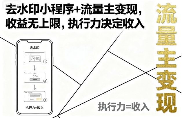 去水印小程序+流量主变现，收益无上限，执行力决定收入-凌云网创